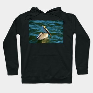 Pelican Beauty Hoodie